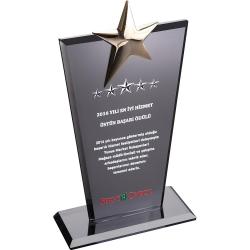 Kristal Plaket ( 12 x 21 cm )
